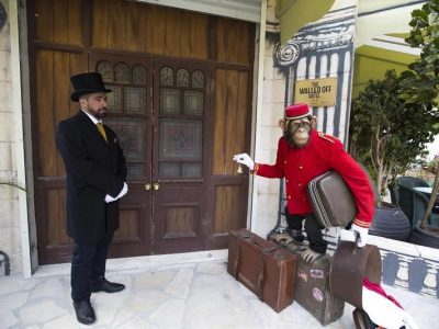 Banksy The Walled Off Hotel Bethlehem