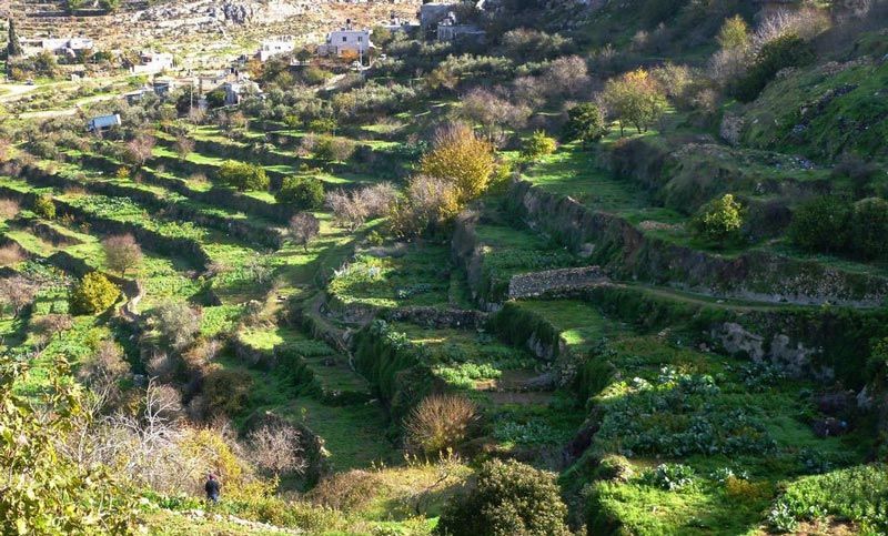 Battir