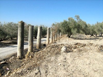 Cardo Maximus Tour in Sebastia